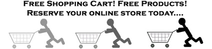 E-commerce Miami, Ecommerce Miami, Miami Web Design, Web Design Miami
